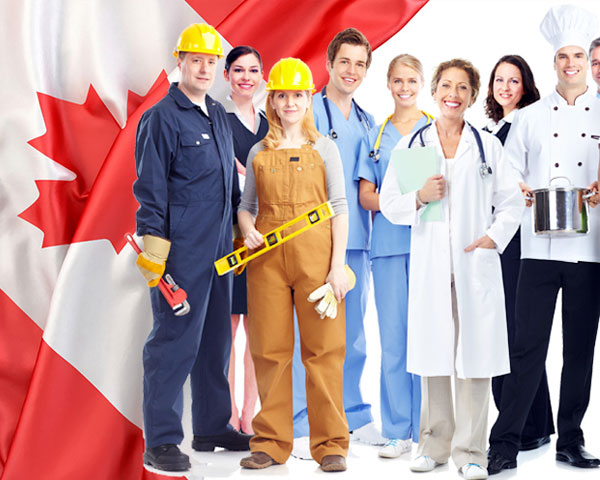 Work Permit Consultants Advisors Lawyers in Canada